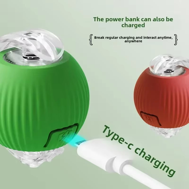 Interactive Rolling Pet Ball – Rechargeable Toy