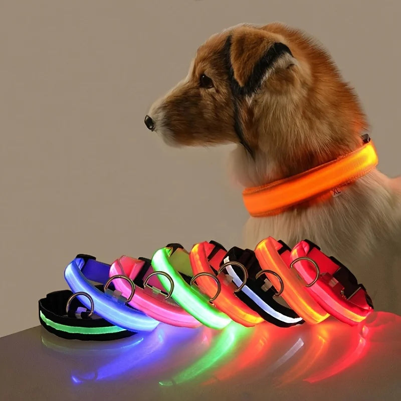 LED Night Safety Leash – Glow Collar